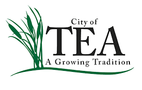 City of Tea, a growing tradition